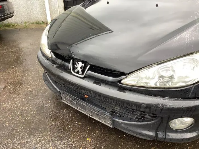 Grille Peugeot 206